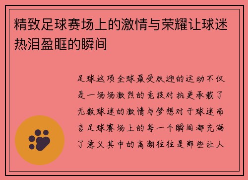 精致足球赛场上的激情与荣耀让球迷热泪盈眶的瞬间
